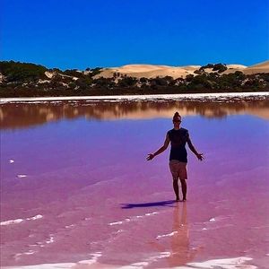 Meet your Posher, Harrison